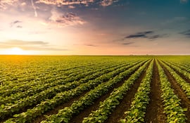 En el caso de Paraguay, los aranceles podrían tener un efecto dual.