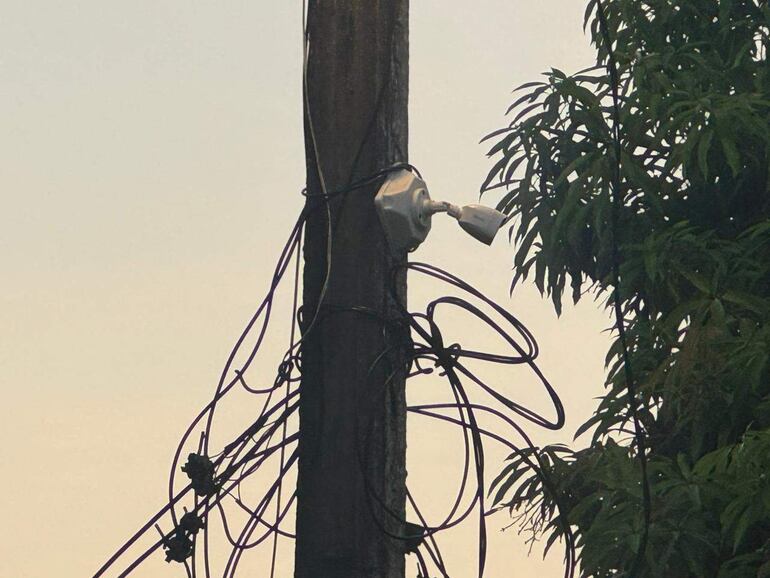 Poste de electricidad cubierto de cables, rodeado de vegetación, refleja el estado de abandono del Parque Caballero.