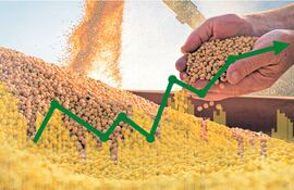 Herramientas financieras 
para productores