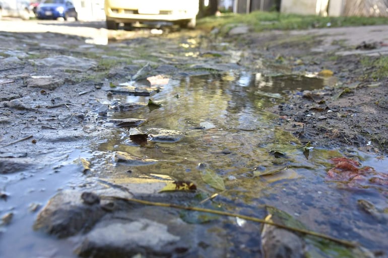 Charco de agua en calle de piedra, rodeado de hojas secas y residuos, con un coche de color claro estacionado al fondo.