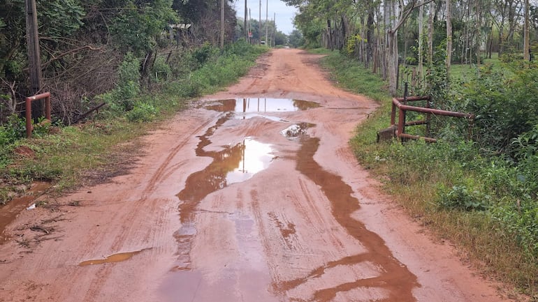Camino de tierra húmedo con charcos y vegetación a los lados, reflejando un cielo nublado en un entorno rural.