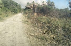 Focos de incendio detectados en la zona de Villa Hayes.