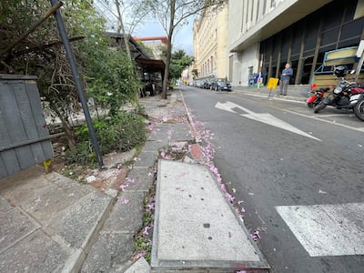 Escena urbana desierta con calle pavimentada, automóviles aparcados, vegetación a un lado y un edificio moderno detrás.