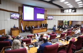 Sesión del Senado. Foto gentileza de la Cámara Alta.