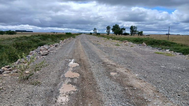 Camino de tierra rodeado de vegetación y piedras, con charcos de agua, bajo un cielo nublado y gris.