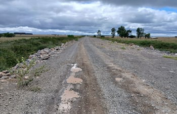 Camino de tierra rodeado de vegetación y piedras, con charcos de agua, bajo un cielo nublado y gris.