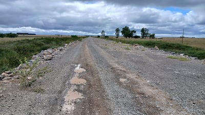 Camino de tierra rodeado de vegetación y piedras, con charcos de agua, bajo un cielo nublado y gris.