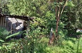 Casilla abandonada donde se encuentran todo tipo de alimañas al lado de la institución educativa Julio Correa.