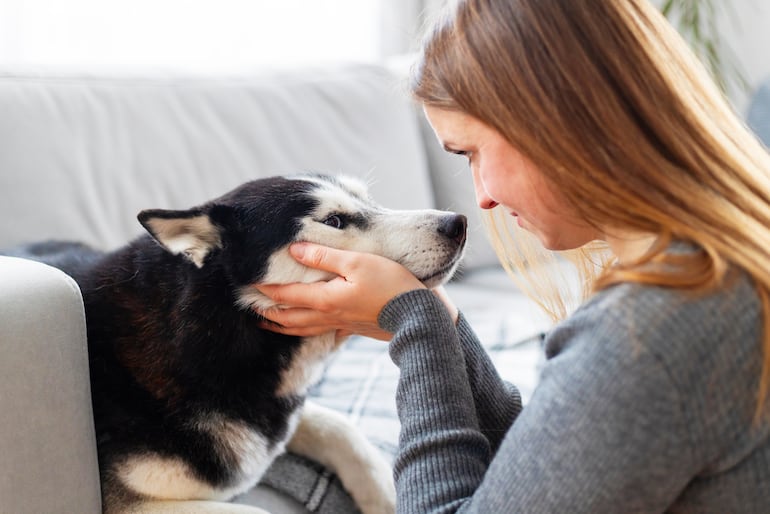 Mirada entre un perro y su humano.