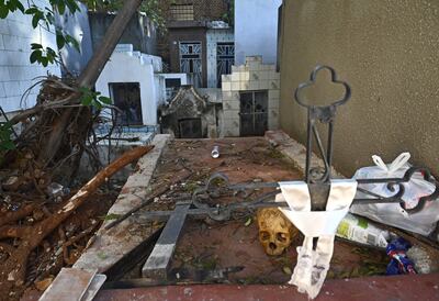 Un cráneo y otros restos óseos, con cruces viejas y bolsas de basura, en el cementerio de La Recoleta. Al fondo, un árbol caído, que contribuye al estado de abandono del sitio de valor histórico.