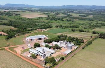 Carlos Pfannl: la cooperativa que faena 18.000 pollos por día