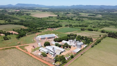 Carlos Pfannl: la cooperativa que faena 18.000 pollos por día
