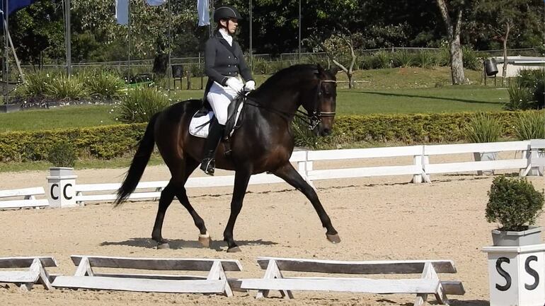 Hipismo: Adiestramiento Ránking FEDEPA 2026 con su primera cita