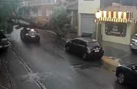 Momento en el que el vehículo termina impactando contra un árbol que cayó minutos antes.