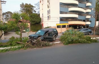 Desvió un perro y chocó contra el paseo central de la avenida Argaña