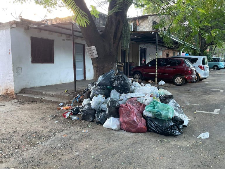 Bolsas de basura de varios colores en la vereda, árboles y vehículos estacionados en un ambiente urbano descuidado.