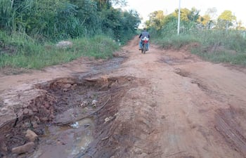 Motociclista de espaldas sobre camino de tierra con profundas hendiduras y charcos, rodeado de arbustos y árboles.