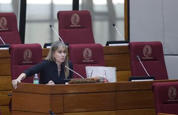 El proyecto impulsado por la diputada Rocío Vallejo propone una excepción para que el Estado pueda invertir en escuelas ubicadas el predios que no son estatales.