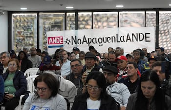 Gran reunión en salón con personas vestidas casualmente, atentos y algunos mirando sus teléfonos, pancarta destacada sobre ANDE.