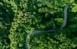 La restauración de la naturaleza alcanza un récord, pero no basta, según la ONU.
