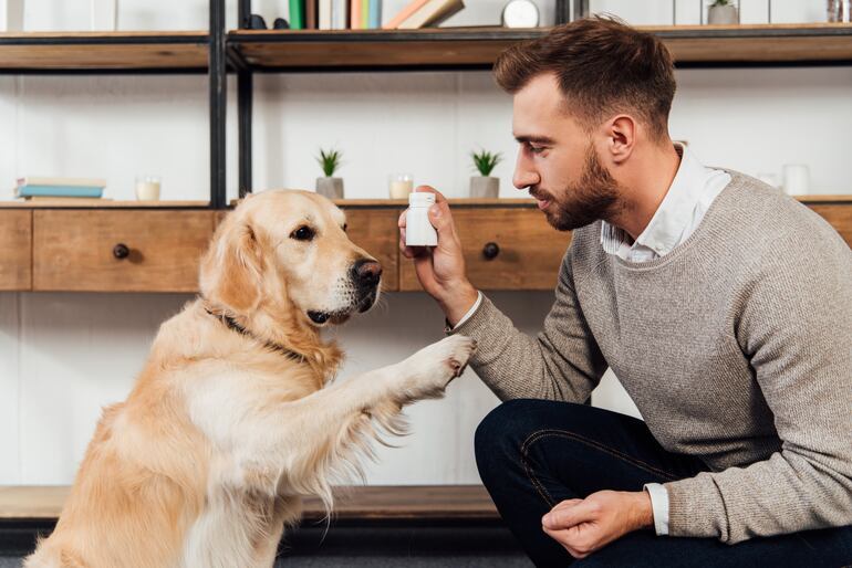 Perro tomando suplementos.