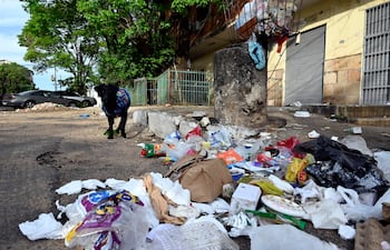 Perro negro con abrigo colorido entre desechos de plástico y comida, en un ambiente urbano descuidado.