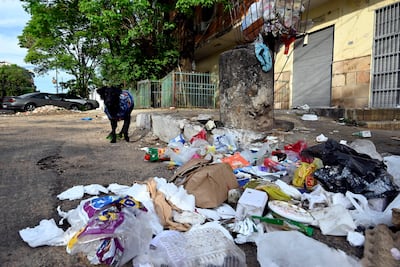 Perro negro con abrigo colorido entre desechos de plástico y comida, en un ambiente urbano descuidado.