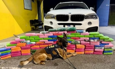 La droga hallada en el doble fondo de la camioneta de alta gama.