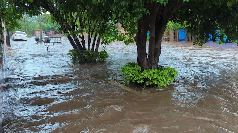 Escena de inundación en Asunción, con un vehículo blanco en un área anegada rodeado de árboles y mobiliario urbano.