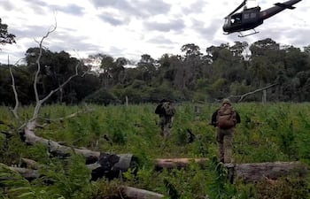 Incursión aérea realizada en Cerro Kuatiá por elementos de la Senad, la FTC y la Policía Federal de Brasil.