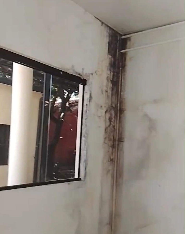 "Tengan vergüenza": paciente expone el deterioro del Pabellón Oncológico de Ciudad del Este - ABC en el Este