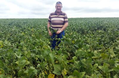 El Ing. Agr. Héctor Cristaldo, presidente de la Unión de Gremios de la Producción, en un cultivo de soja. (Foto archivo)