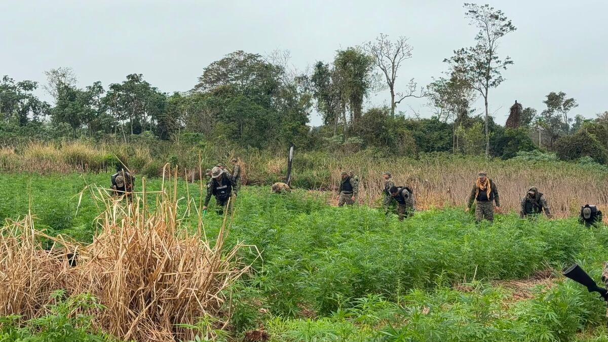 Fusil incautado en asentamiento 1° de Marzo fue usado para matar a siete miembros del clan Díaz