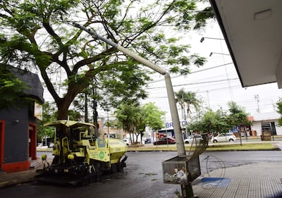 Recapado avenida Quinta 10/10/24