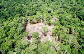 Vista aérea de la deforestación de Campos Morombí.