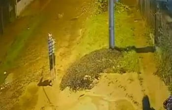 Dos jóvenes fueron sorprendidos robando varillas de hierro de una obra en construcción en Carapeguá.