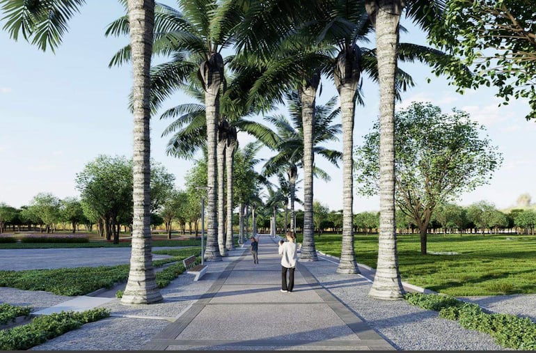 Dos personas en ropa informal caminan por un camino del Parque Caballero, rodeadas de palmeras y árboles bajo un día soleado.