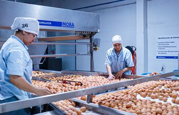 Cuidar que el producto llegue de la mejor forma es un compromiso.