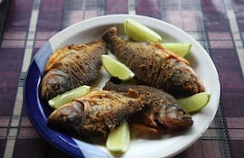 Plato de pirañas.
