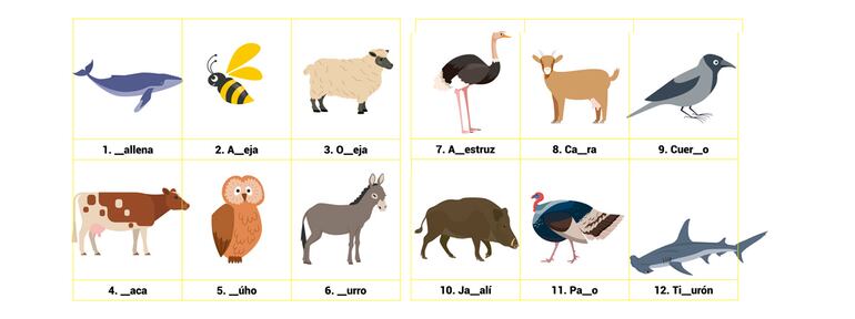 /pf/resources/images/abc-placeholder.png?d=2393