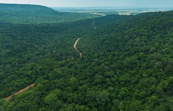 Imágen aérea de bosques nativos en Paraguay.