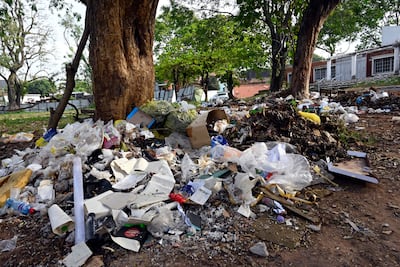 Pilotes de basura compuestos por plásticos y cartones en suelo de área verde, con un árbol y un edificio de fondo.