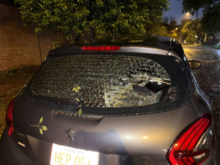 Un Peugeot con parabrisas roto y vidrio esparcido, rodeado de hojas y ramas tras una tormenta en la calle.