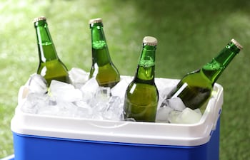 Botellas de cerveza en una conservadora.