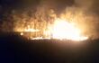 Incendio forestal en Fuerte Olimpo.