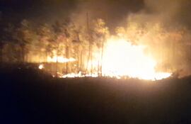 Incendio forestal en Fuerte Olimpo.