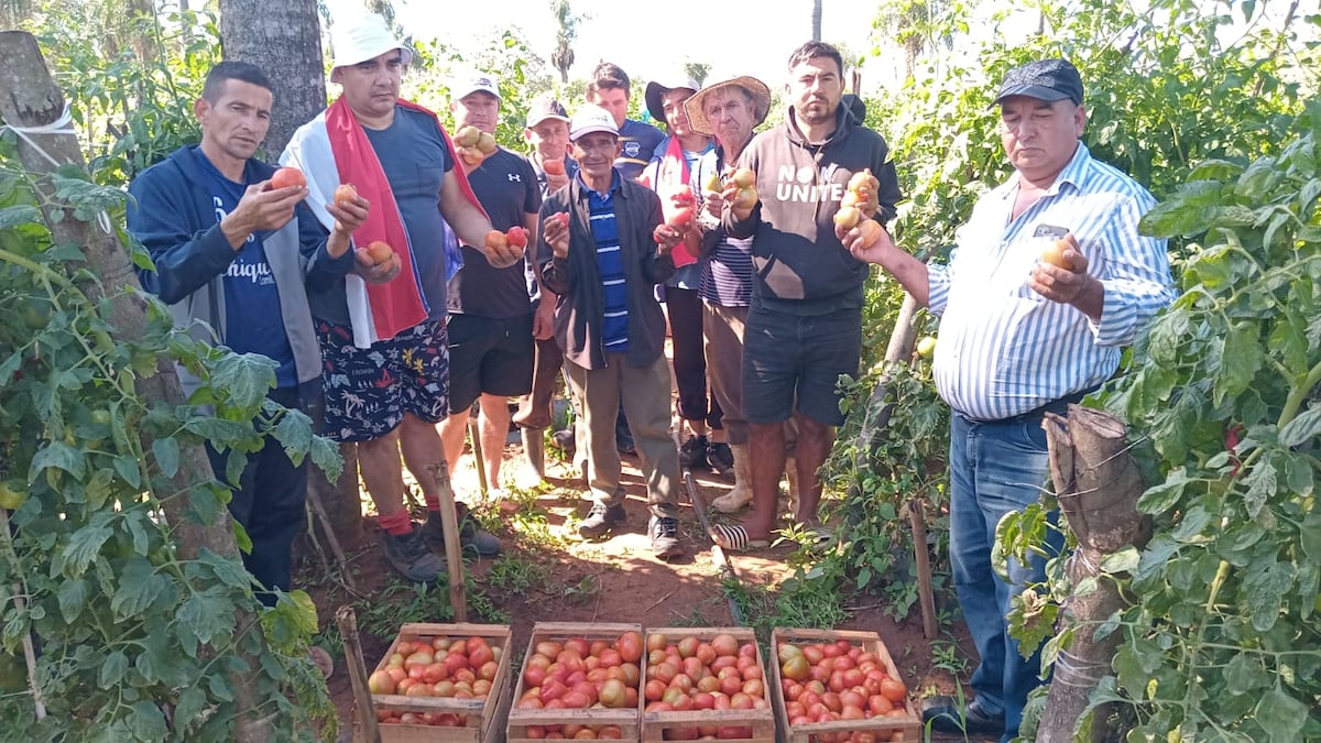 Agricultores de Itá piden combatir el contrabando de tomates