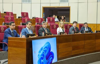 Seis personas sentadas en un salón del Senado, tres en trajes oscuros, una mujer rubia en blusa blanca, escuchando atentamente.