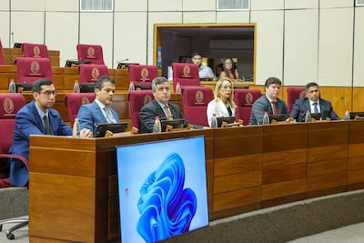 Seis personas sentadas en un salón del Senado, tres en trajes oscuros, una mujer rubia en blusa blanca, escuchando atentamente.