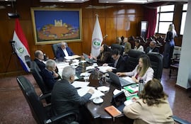 Isaías Ricardo Fretes en saco oscuro, escuchando atentamente a Bettina Albertini, mientras otros miembros toman notas en la reunión formal.